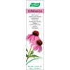 A.Vogel Echinacea Cream | Daily Face Moisturiser | Suitable for