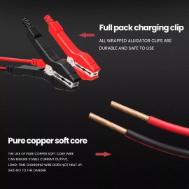 Unbranded 20A LiFePO4 Car Battery Charger Smart Maintainer 12V 24V AGM Trickle Charger US - #01: 12V 6A