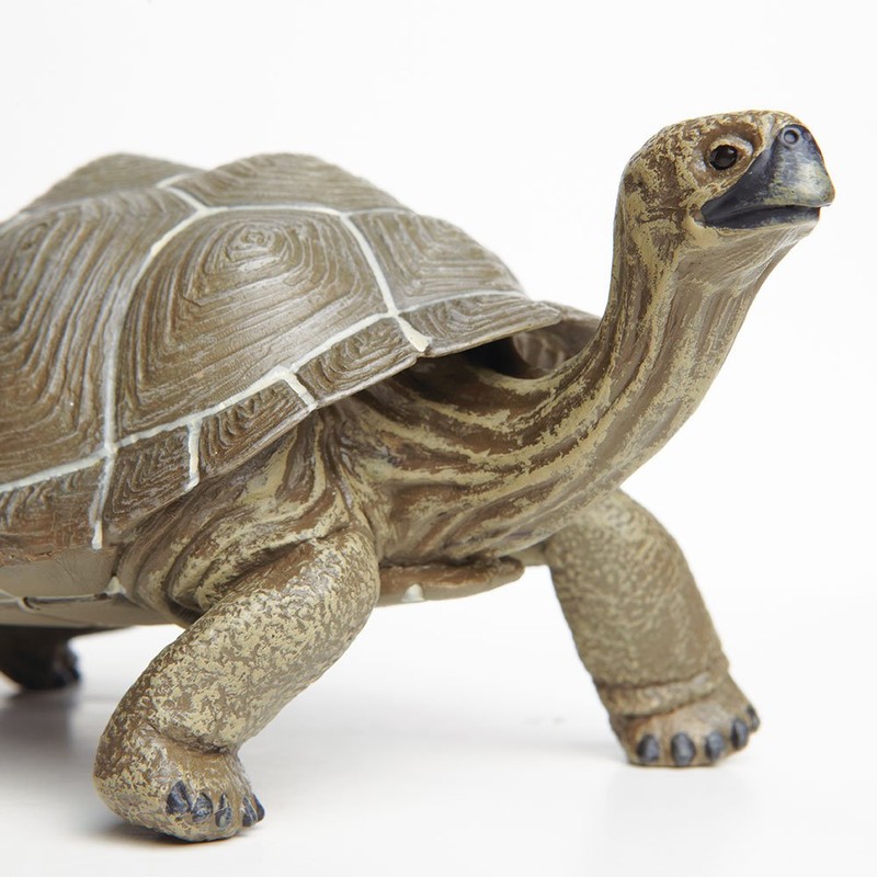 Safari Ltd. Tortoise Figurine - Detailed 8.5" Plastic Model Figure
