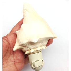 PEPPERLONELY Vole Sea Shell Night Light Nautical Natural Seashell Beach Home Décor, Shell Size 4 Inch