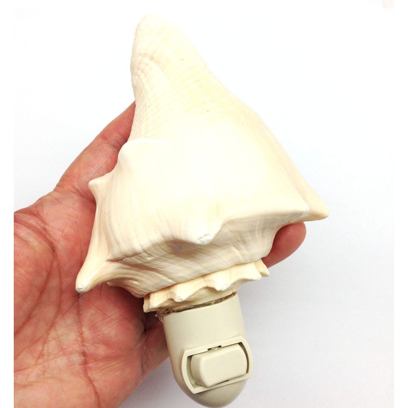 PEPPERLONELY Vole Sea Shell Night Light Nautical Natural Seashell Beach