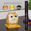 Cyprus Today's Fortune Teach Owl, Pressing the Head and Advice,