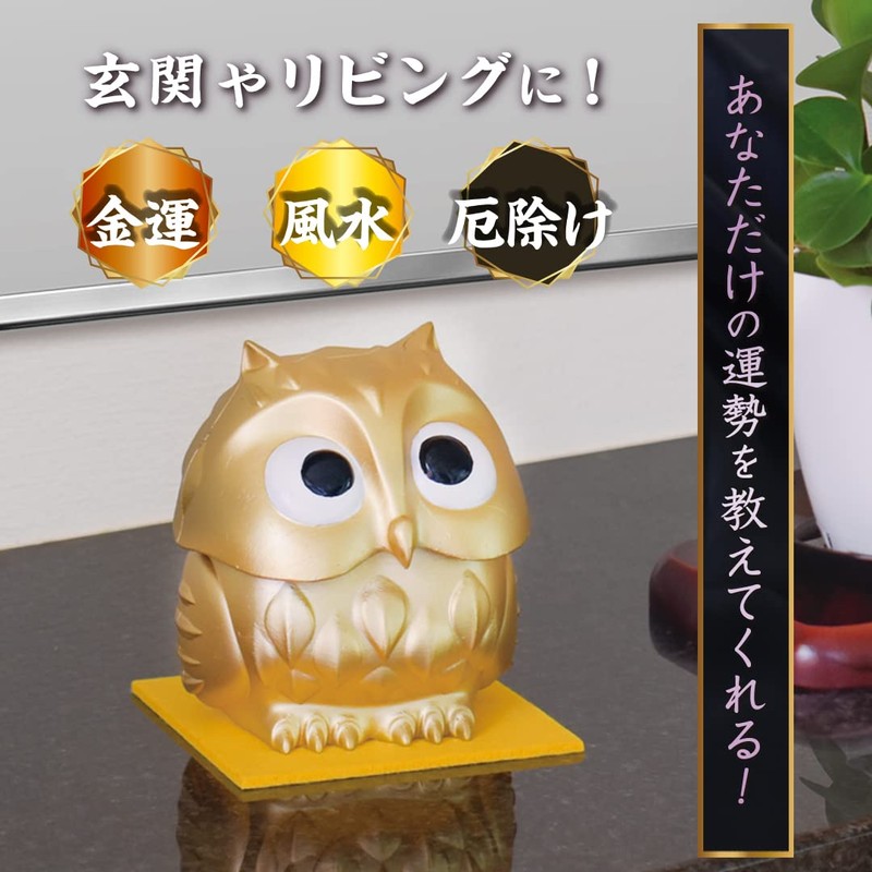 Cyprus Today's Fortune Teach Owl, Pressing the Head and Advice,