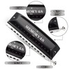 SWAN Chromatic Harmonica 12 Holes Deluxe Harmonica C Key with
