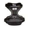 Bunty Adjustable Dog Harness, Adventure - Anti Pull Dog Harness