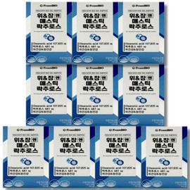 FromBio We&JangN Mastic Rock Churros 3g x 14 packs 10 boxes stomach health intestinal health / 프롬바이오 위앤장엔 매스틱 락추로스 3g x 14포 10박스 위건강 장건강