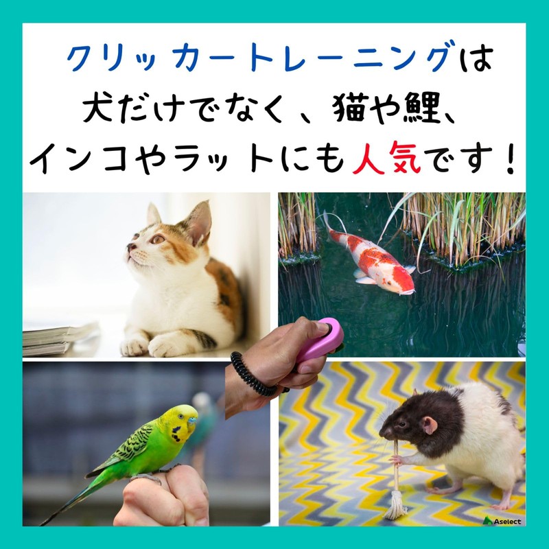 Aselect Clicker Dog Clicker Clicker Dog Clicker Bird Cat Clicker