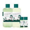 Roundlab For Men Pine Calming Cica Toner 200ml x Lotion
