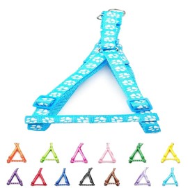 Doggie Style Store Small Dog Puppy Pet Cat Kitten Harness Pawprint Design Nylon Adjustable Chest Size 21-34cm Light Blue