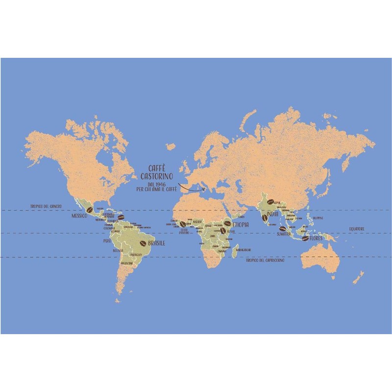 Caffe' Castorino Gold Arabica Whole Bean Italian Coffee