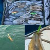 Luminous Shrimps Squid Jig Lure, 8PCS Artificial Fishing Lure Baits