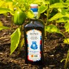 Bono Sicilian Certified PDO Val Di Mazara Extra Virgin Olive