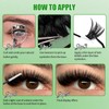 Lash Extension Kit, 30D 40D 50D 60D 80D 100D Lash