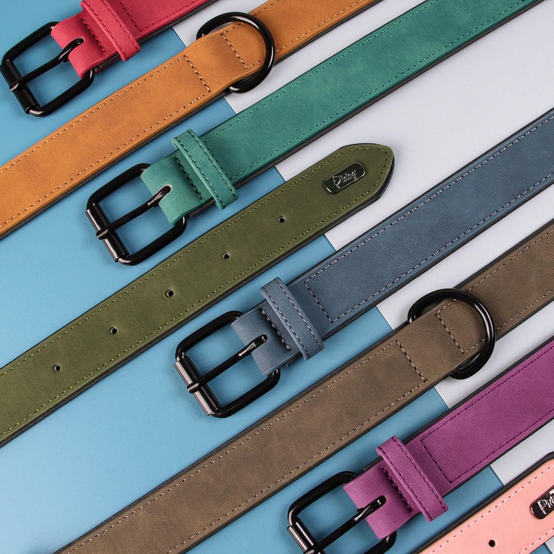 Didog Soft Padded Leather Dog Collar, Breathable Heavy Duty Dog