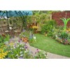 Breoudo 10000+ Mix Wildflower Seeds Bulk Package 34 Varieties Perennial