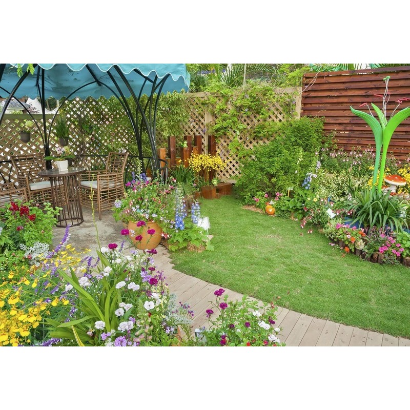Breoudo 10000+ Mix Wildflower Seeds Bulk Package 34 Varieties Perennial