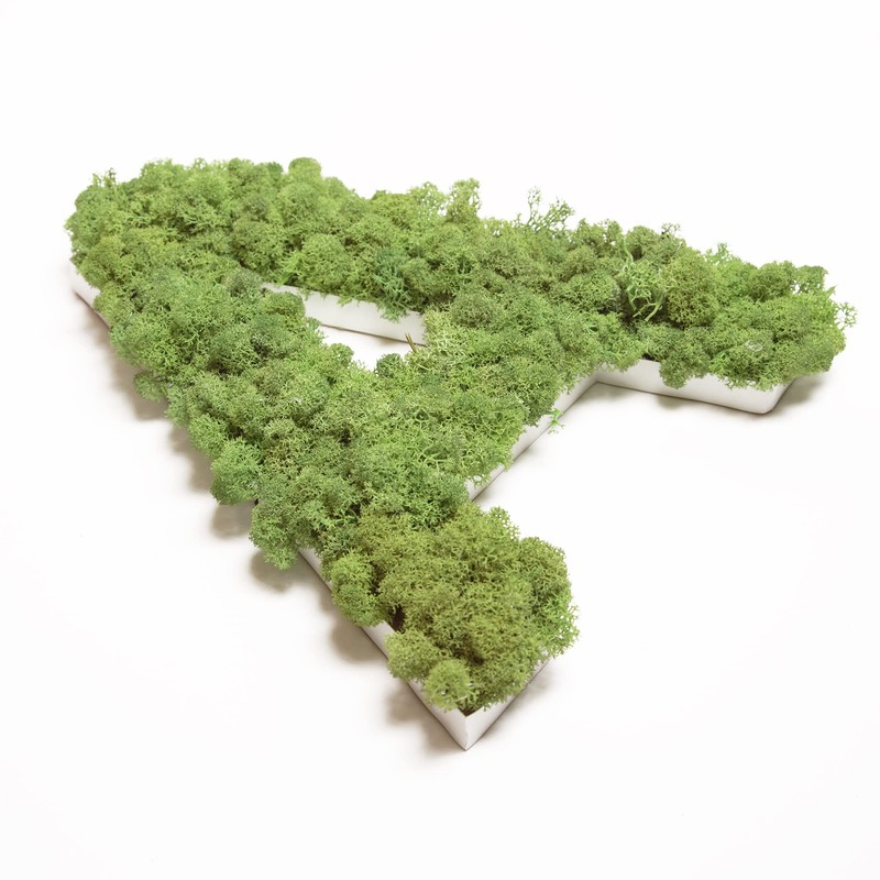 Moss Letter Iceland Moss ABC Letters with Moss (A, 30