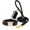 MVM Dog Lead with Collar & Waste Bag Dispenser Set