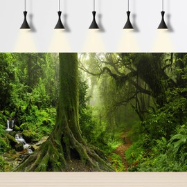 Forest Aquarium Background Densely Woods in Moss Natural Landscape Fish Tank Background Deep Rainforest Jungle Trees Stream Terrarium Background Foggy Misty Forest Reptile Habitat Background 72x24in
