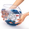 Okllen Mini Glass Fish Bowl, Oblate Small Fish Tank with