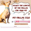 Amylove 48 Pcs Dog Collar and Leash Set, Polypropylene Adjustable