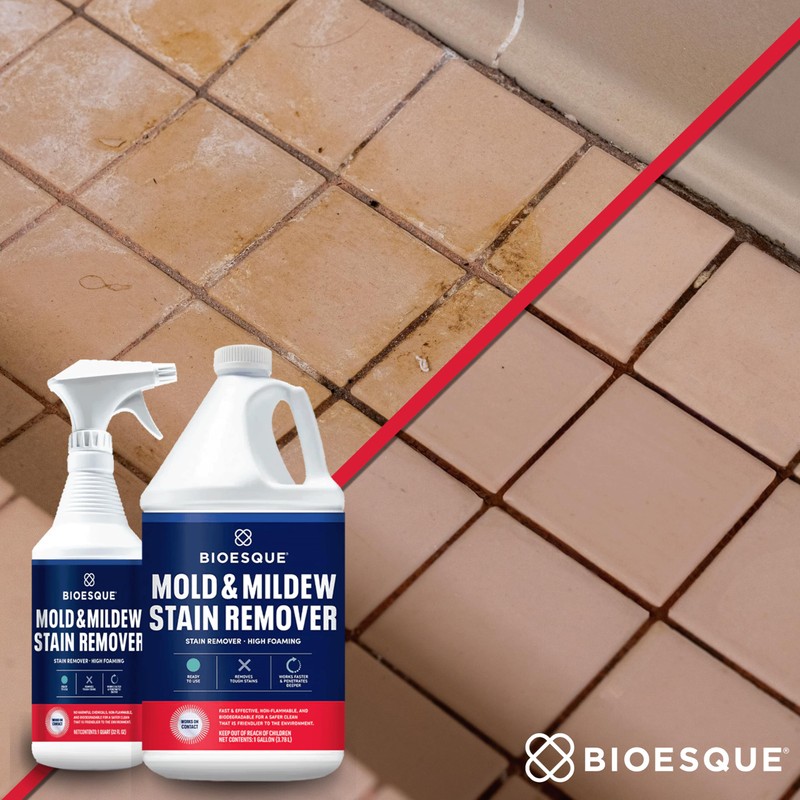 Bioesque Mold & Mildew Stain Remover, 32 Fluid Ounce (Pack