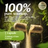 Sproote Soursop Capsules | 15,000mg High Strength Graviola Extract |