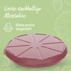 elastoreuse Pizza Box 'ToGo' - BPA-Free Storage Box - Reusable