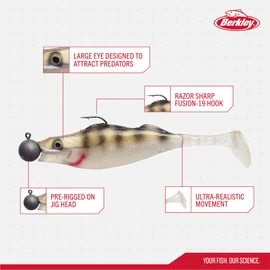 Berkley Pulse Realistic Perch Prerigged Soft Bait Shad with Jig Head - Ultra Realistic Shape and Action for Predator Fishing - Pike, Zander, Perch