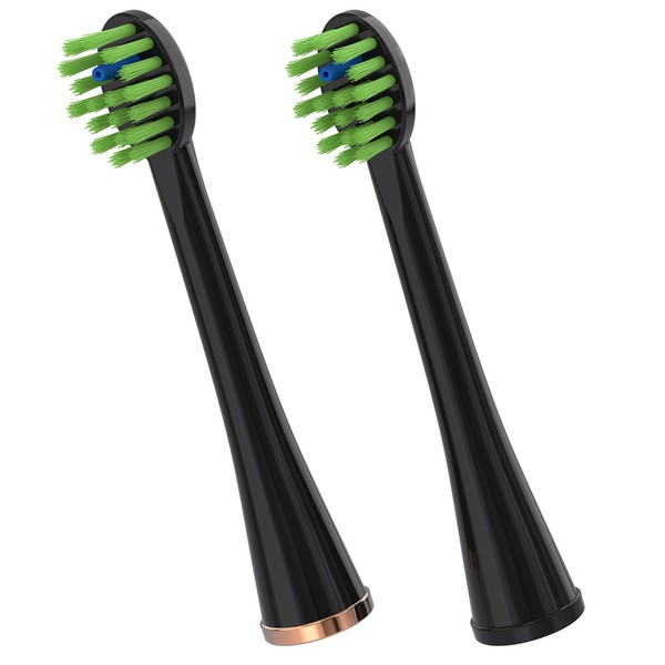 Waterpik Compact Replacement Brush Heads for Sonic-Fusion Flossing Toothbrush SFRB-2EB, 2 Count Black