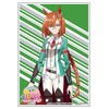 Bushiroad Sleeve Collection High-grade Vol. 2979 TV Anime "Uma Musume Pretty Derby Season 2" Ichinodictus