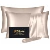 Lacette 2Pack Silk Pillowcase,Bli
