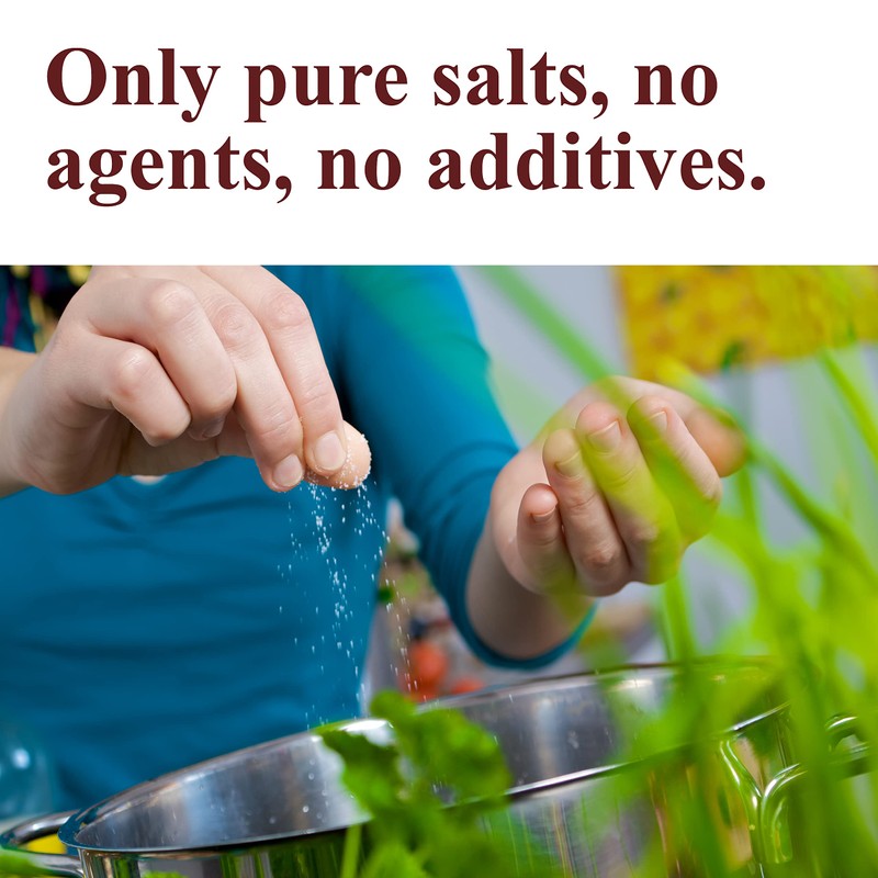 The Spice Way Celery Salt - 1 lb. - fresh