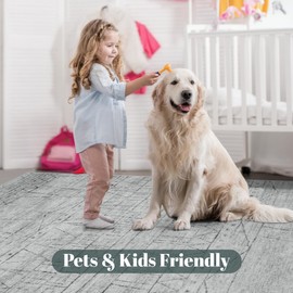 Area Rug Living Room Washable Rugs:6x9 Large Modern Abstract Indoor Thin Low Pile Carpet for Dining Bedroom Farmhouse Non Slip 6 by 9 Indoor Nursery Home Office