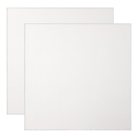 QUARKZMAN 2 Pezzi Lastra In Titanio TA1 Puro, 100x100x0.5mm Lastra In Titanio Resistente Alla Corrosione Per Parti Marine Lavorazione Chimica Macchinari Industriali Lavorazione