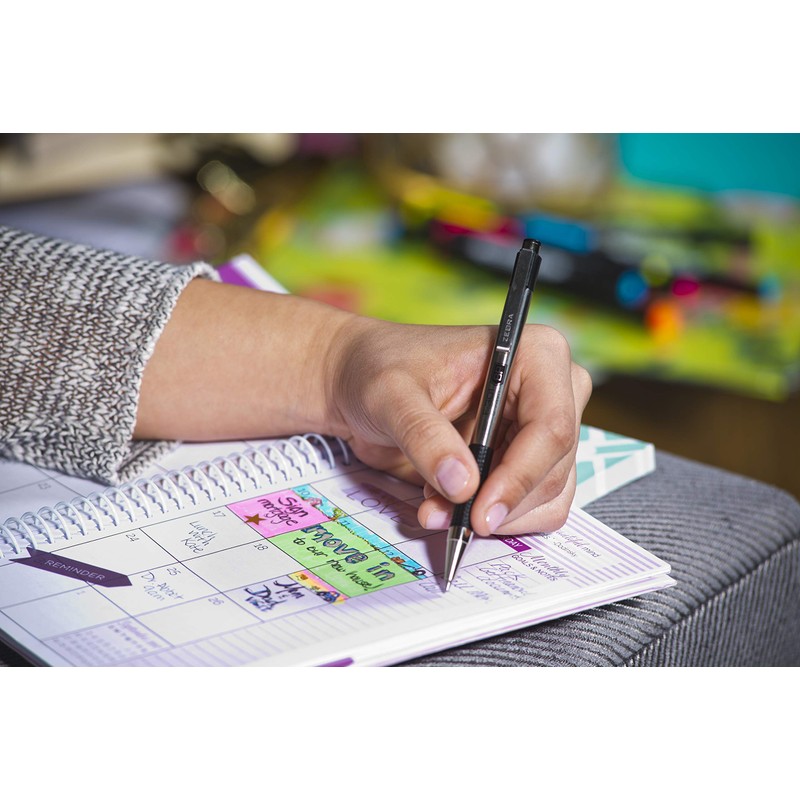 Zebra Pen F-301 Ballpoint Fine Point 0.7mm, Black Easy-Glide Ink,