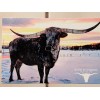 Western 4 TEXAS LONGHORN METAL PULL WESTERN CABINET HARDWARE DRAWER