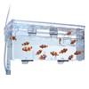 Fluval Multi-Chamber Holding and Breeding Box, Large – Up To