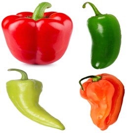 Spicy and Sweet Pepper Seeds Collection, 200 Seeds, 4 Heirloom Non-GMO Varieties. (Capsicum annuum) Big Red Sweet Bell, Green Hot Jalapeno, Orange Hot Habanero, Yellow Sweet Banana Peppers.
