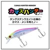 DAIWA Kamas Hunter Minnow 50S Chart Head PP Transparent Kesirus