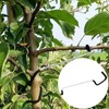 LEILINLIFE Fruit Tree Branch Spreader 20PCS Fruit Trees Limb Spreader