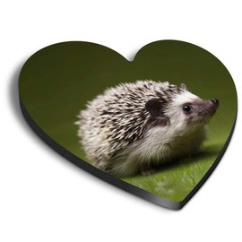 1 x Heart MDF Magnets - Hedgehog Garden Wildlife British 8246