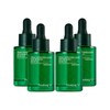 Pyunkangyul Ultimate Calming Solution Ampoule 30ml x 4 / 편강율 얼티밋 진정 솔루션 앰플 30ml x4개