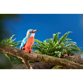 Living Nature Kingfisher, Realistic Soft Cuddly Bird Toy, Naturli Eco-Friendly Plush, 15cm
