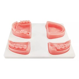 Kingden Pad Sutura Bucal Silicón Boca Odontología Con Base N5001