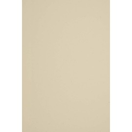 Netuno 20 Sheets Recycled Paper Ecru DIN A4 210 x 297 mm 285 g Woodstock Betulla Eco Vintage Retro Craft Paper Natural Paper for Wedding Christmas Birthday Invitations Business Card