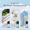 JCLOUD Essential Oils for Laundry, Clean Scent Fragrance Oils Set,