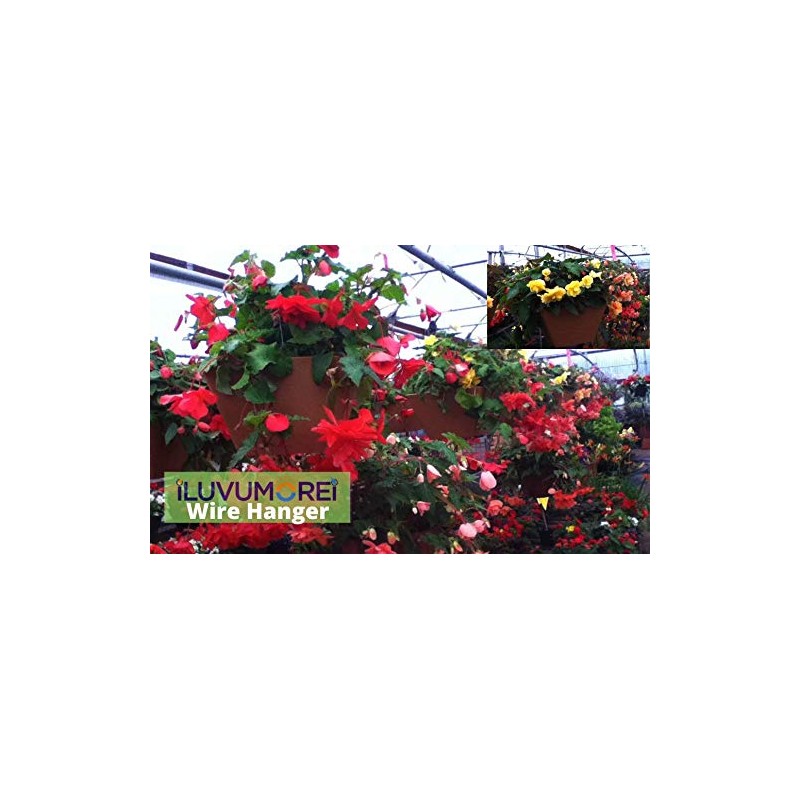 ILUVUMOREI 10 Pack 24" 4 Wire Steel Hook Hanger, Gardening