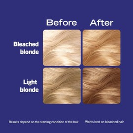 Schwarzkopf Live Intensive Colour, Up to 50% Grey Coverage, Permanent Blonde Hair Colour, with Nourishing Oils and Keratin, Lightening Hair up to 2 Levels - Cool Blonde B10
