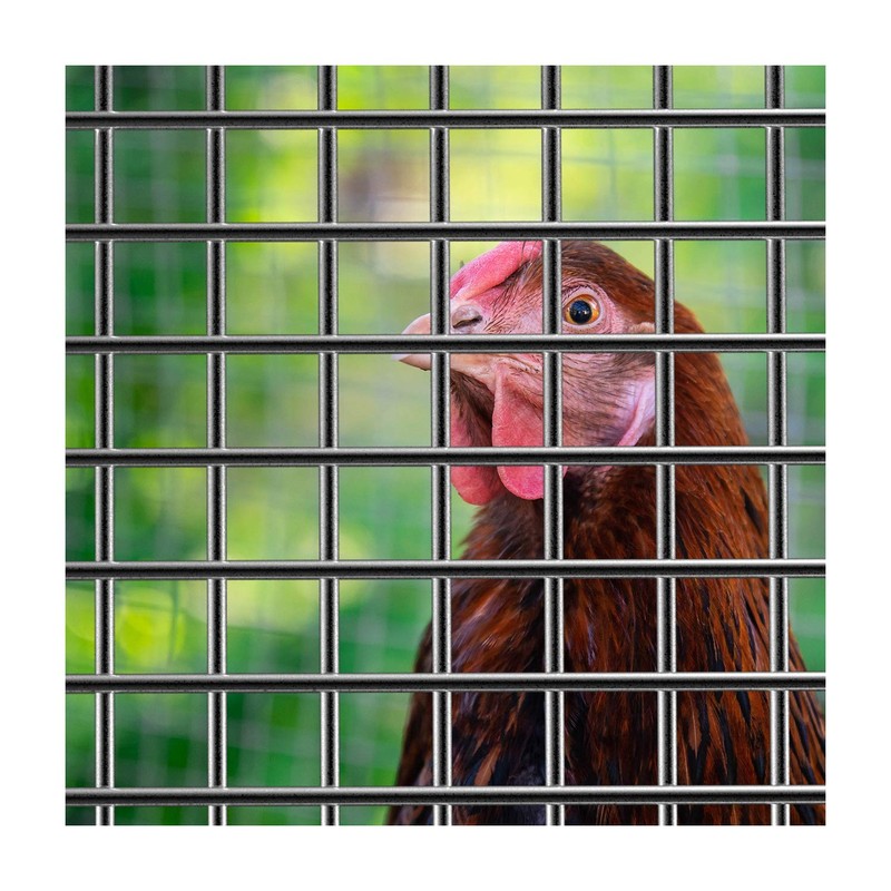 Far North Hardware Cloth 19 Gauge M 1/2" (5, 2)